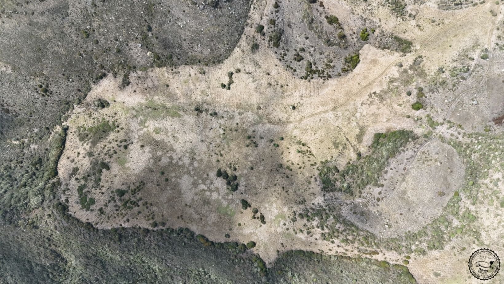 Área de vida de bauen project