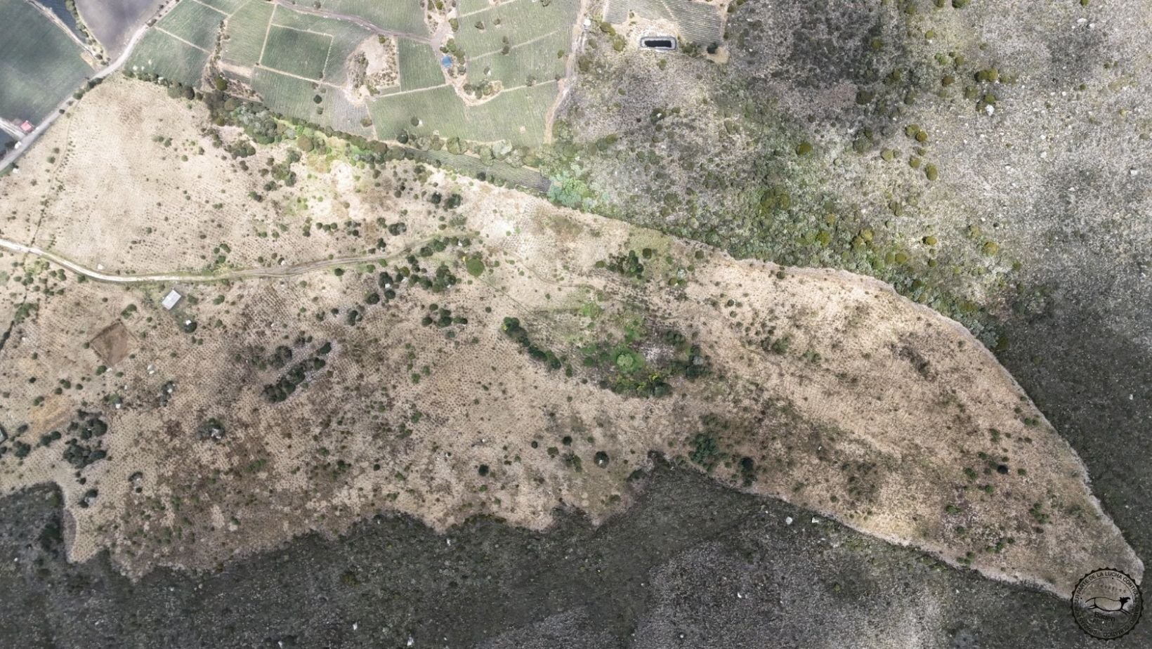 Siembra Corporativa Bauen Project