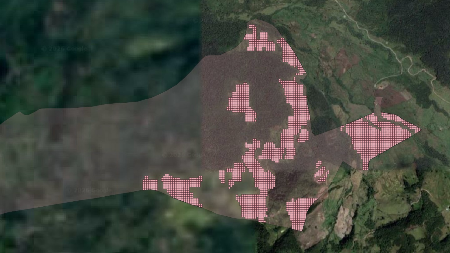 WhatsApp Image 2026-03-25 at 6.27.23 PM