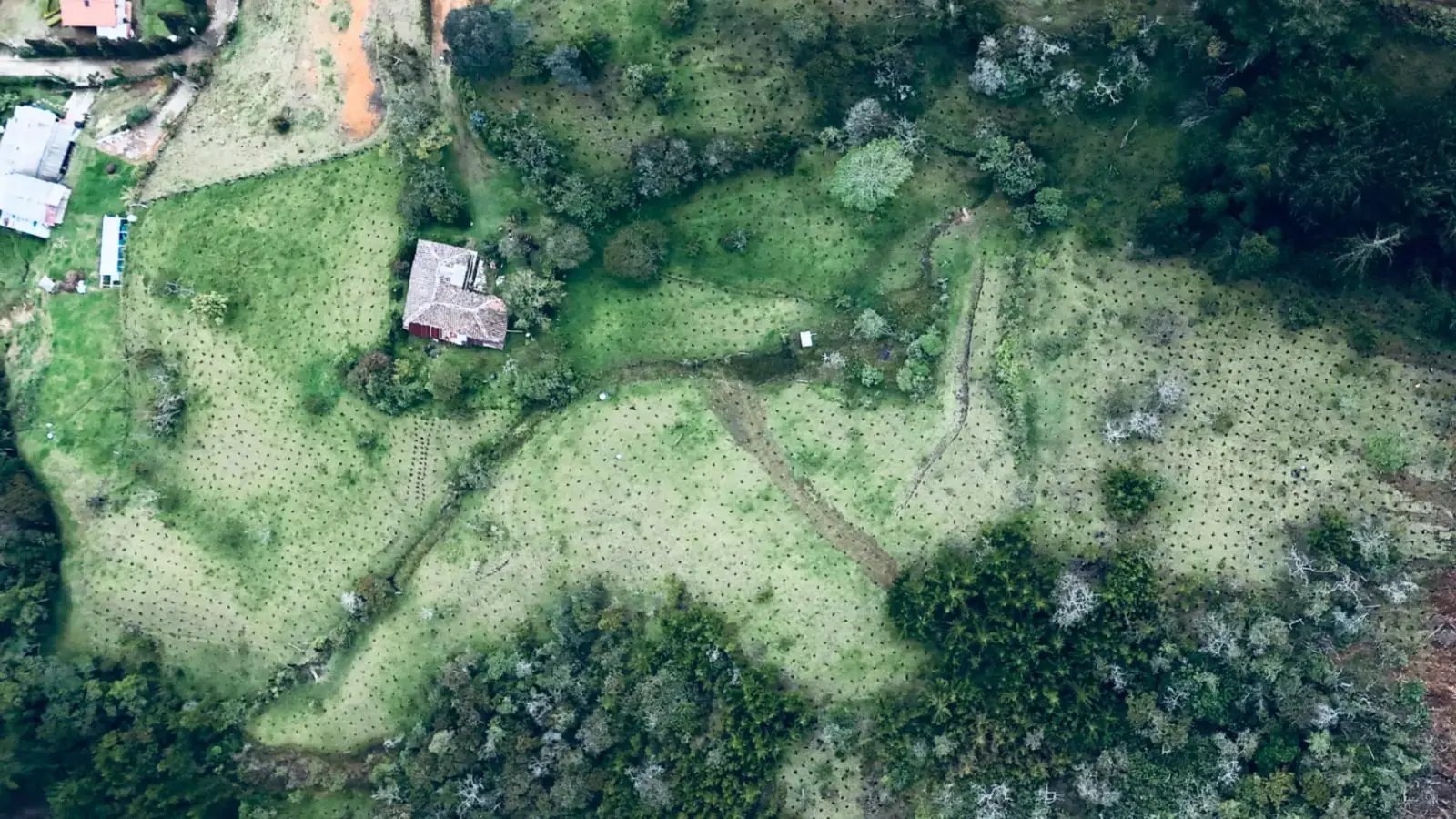 Núcleos de restauración ecológica vistos desde dron