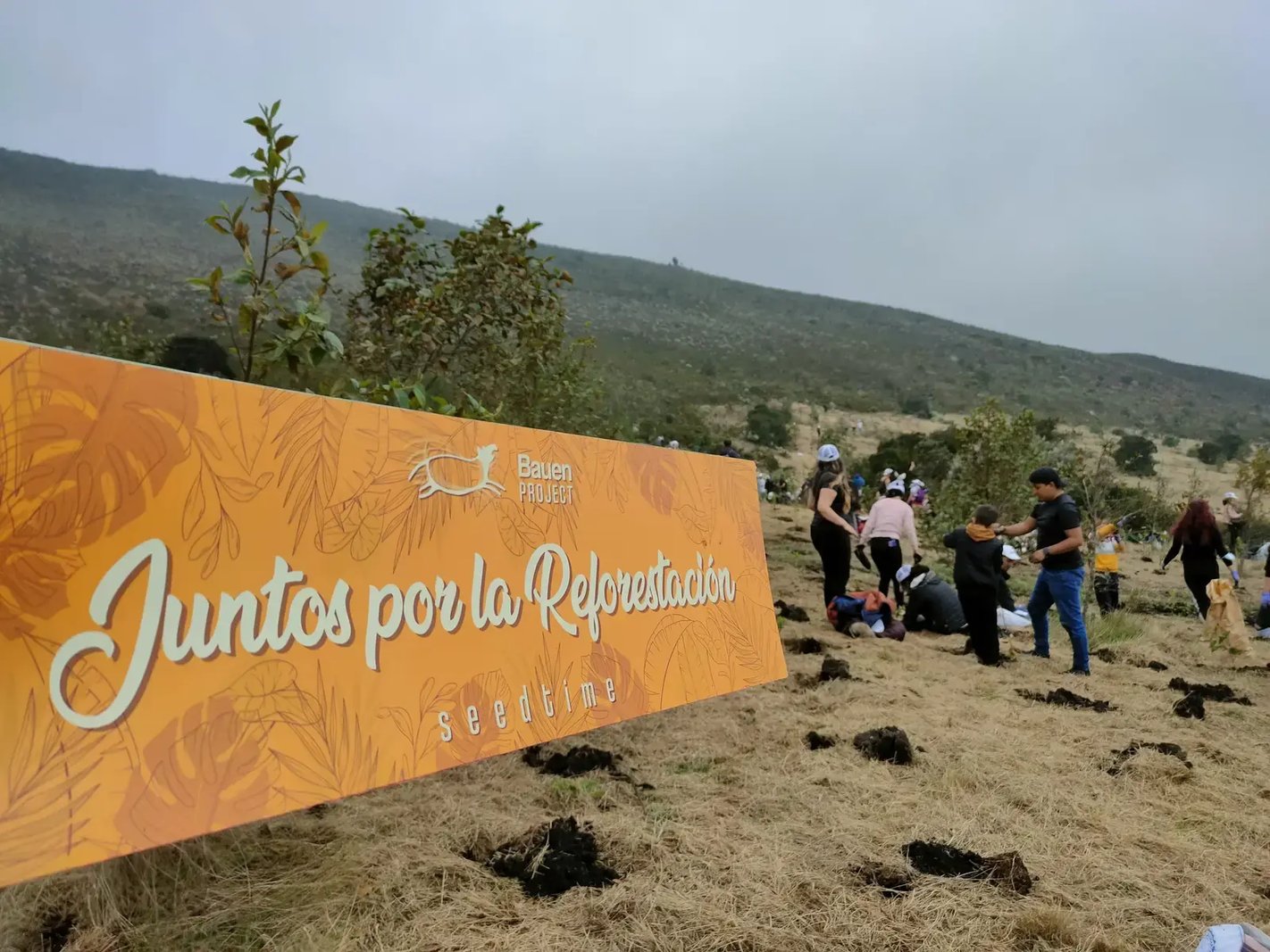 Pancarta Juntos por la reforestación en una jornada de siembra empresarial