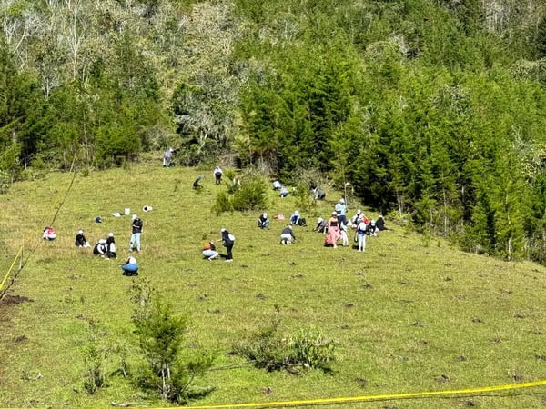 Siembras en el Oriente antioqueño, Rionegro · Antioquia
