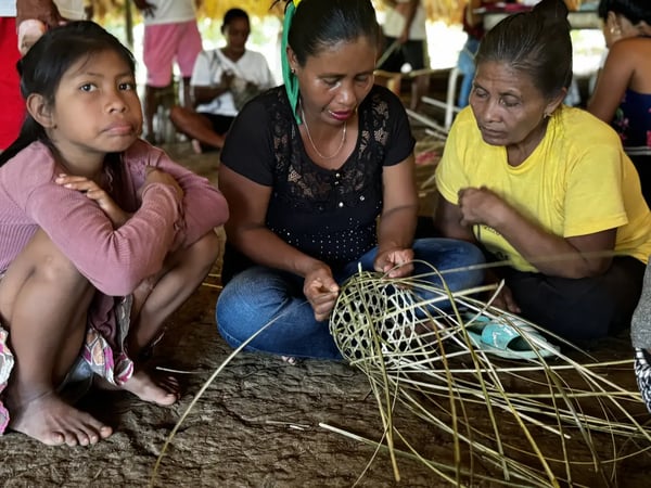 Siete Canastos, Mocagua, PNN Amacayacu · Amazonas