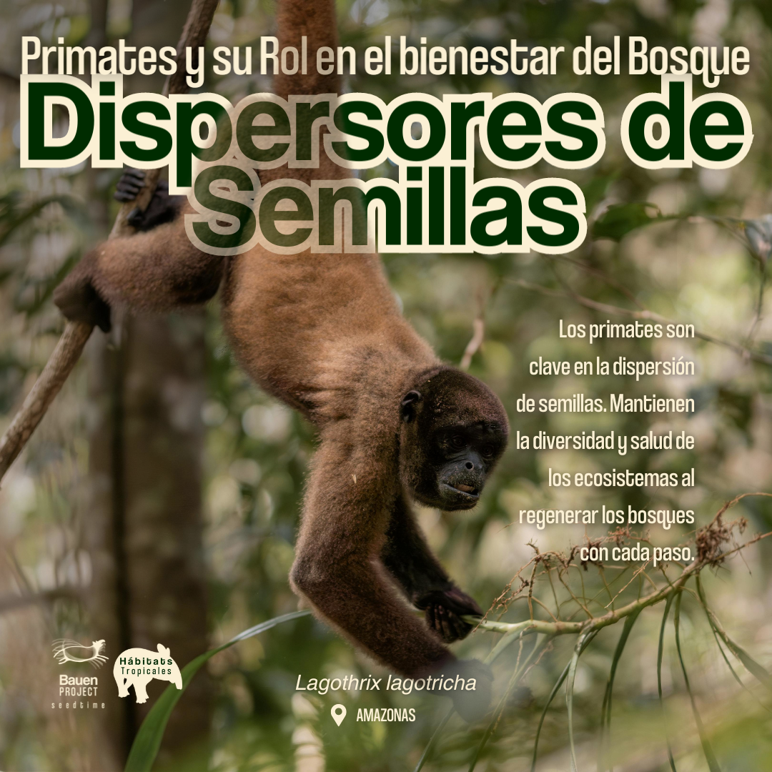 Día Internacional de los Primates, image size:1080x1080