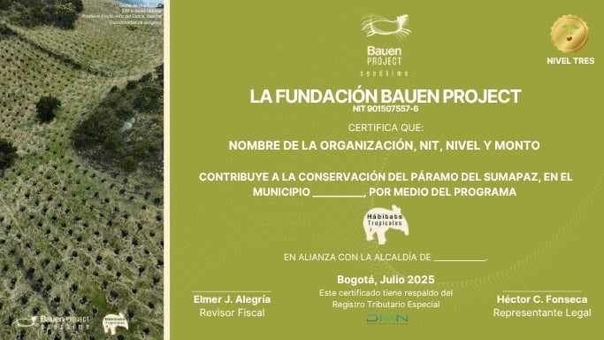 Certificado de donación de Bauen Project con Régimen de Tributario Especial