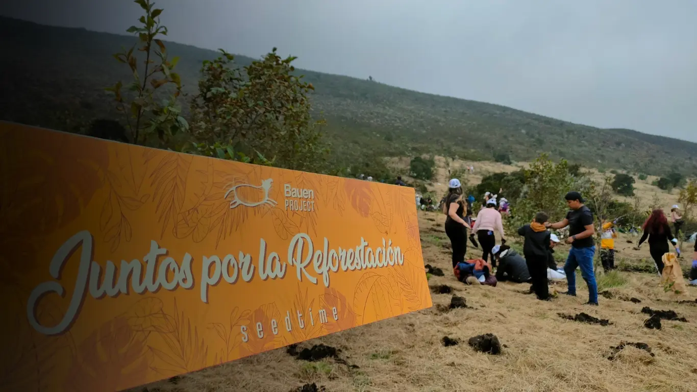 Jornada de restauración ecológica en el páramo de sumapaz por bauen project