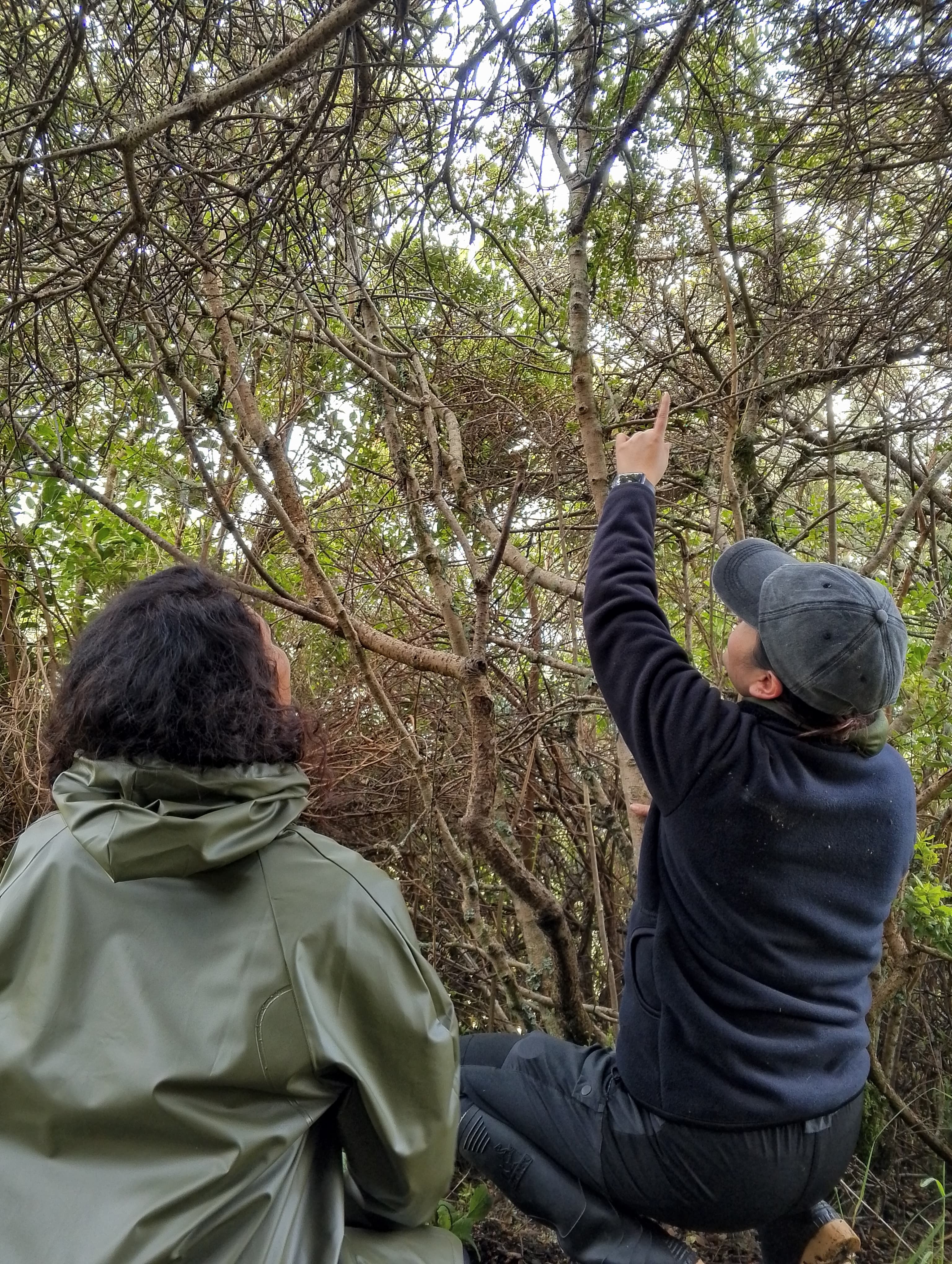 Actividad de Monitoreo Biológico Páramod el Sumapaz