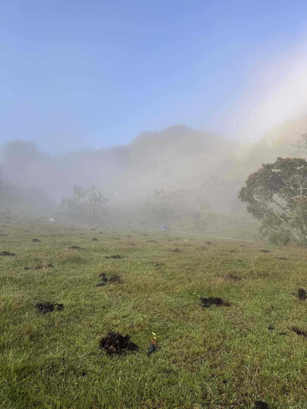 Restauración ecológica en el Cerro el Capiro, Ríonegro, Antioquia