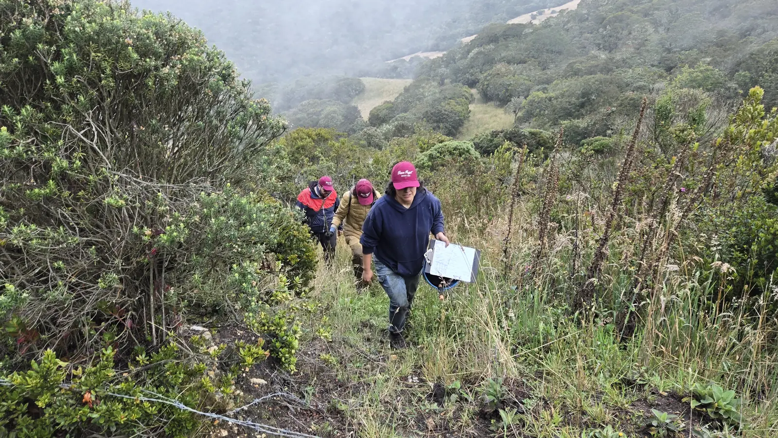 Levantamiento de línea base en el páramo