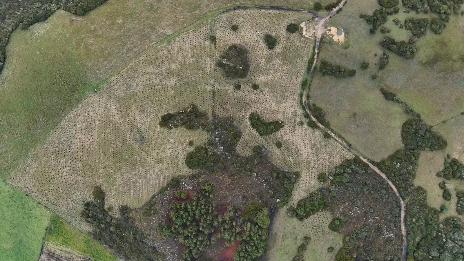 Paisaje de restauración visto desde dron