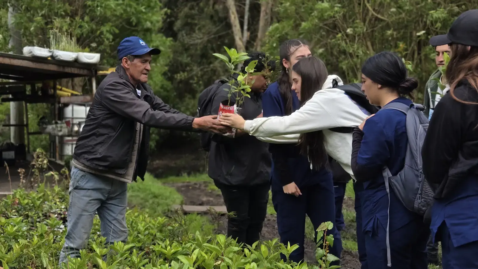 Un sabedor entrega una plántula a jóvenes