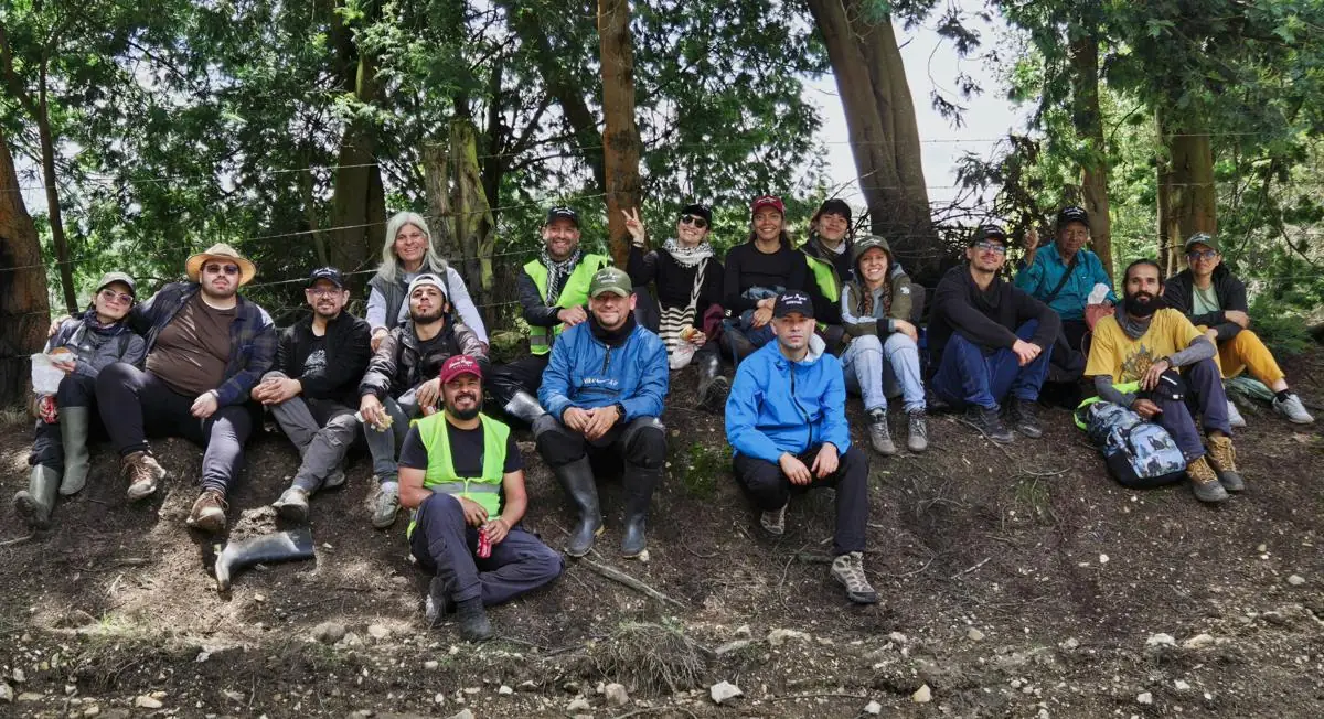 Grupo de voluntariado